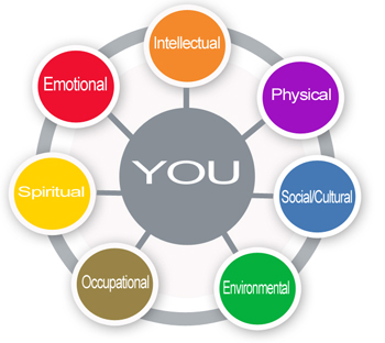 You and The Wellness wheel